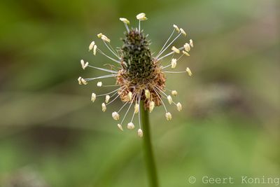 072A5539-2.JPG