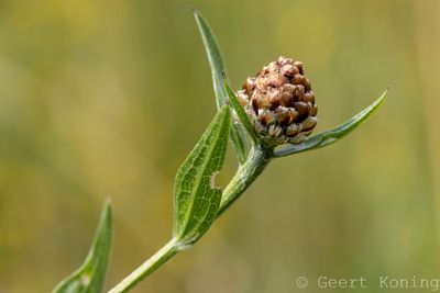 072A5317-2.JPG