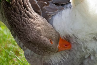 g13/59/348059/3/126077538.5d5675cd.JPEG