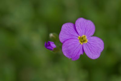 g13/59/348059/3/150111902.0208b122.JPEG