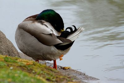 g13/59/348059/3/155481293.65f8ecb3.JPEG