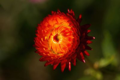 g13/59/348059/3/169217748.3a46f3d6.JPEG