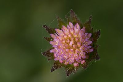 g13/59/348059/3/170797670.f14e2f53.JPEG