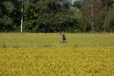 Le Vully et ses vignes