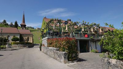 Le Vully et ses vignes
