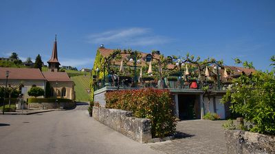 Le Vully et ses vignes