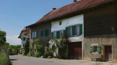 Le Vully et ses vignes
