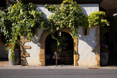 Le Vully et ses vignes