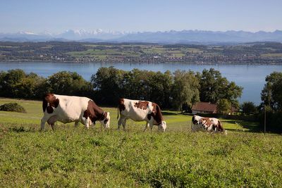 Paysages et nature 4