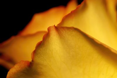 g13/59/348059/3/54043063.160d6f1a.JPEG