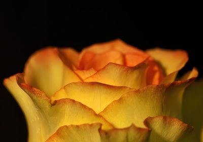 g13/59/348059/3/54079681.83586d2b.JPEG