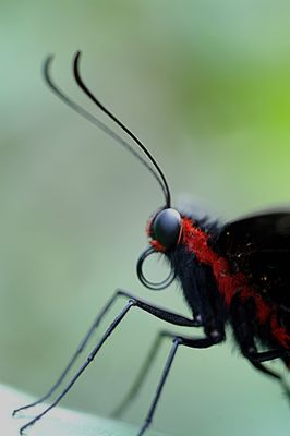 g13/59/348059/3/57723116.f3a060ef.JPEG