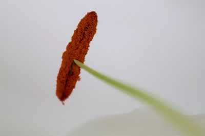 g13/59/348059/3/88014182.7458d1f3.JPEG