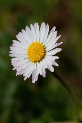 g13/59/348059/3/88431520.5162b633.JPEG