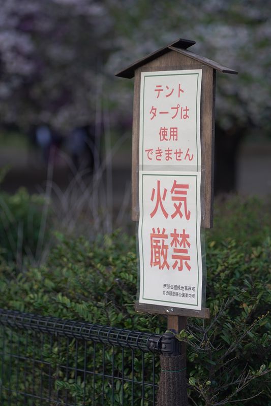 DSC01277_20_percent.jpg