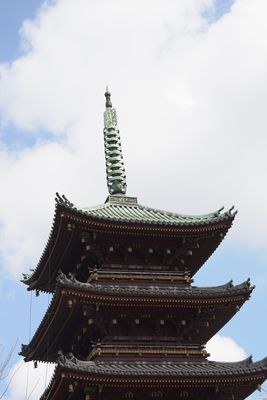 DSC00501.JPG