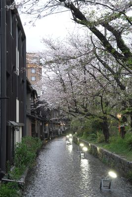 DSC00630.JPG