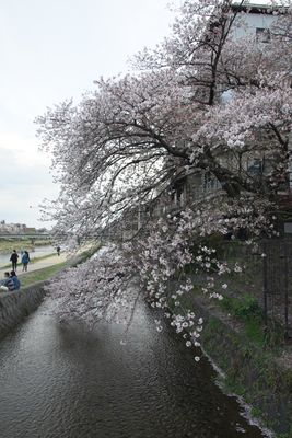 DSC00635.JPG
