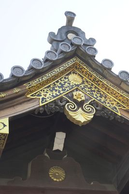 DSC00903.JPG