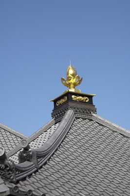 DSC00932.JPG