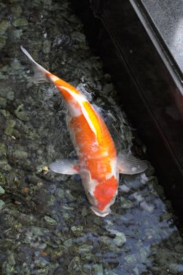 DSC01211.JPG