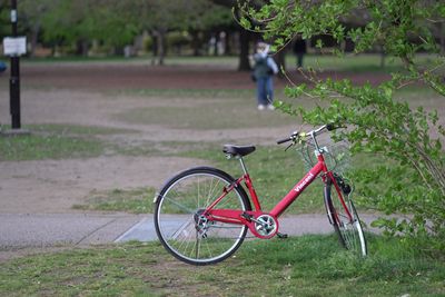 DSC01273.JPG