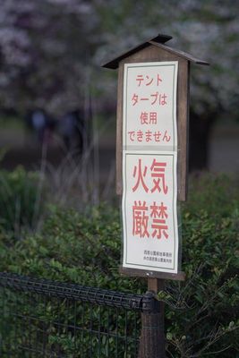 DSC01277_20_percent.jpg