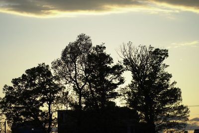 DSC01282.JPG