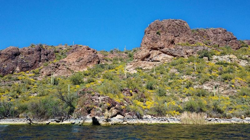 Saguaro Lake