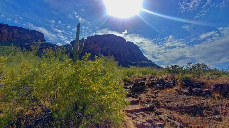 Picacho Peak State Park