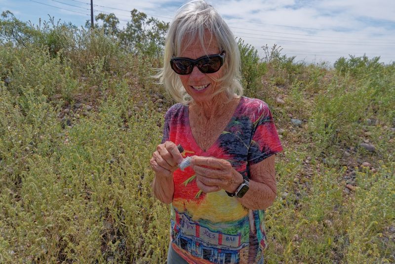 Geocaching