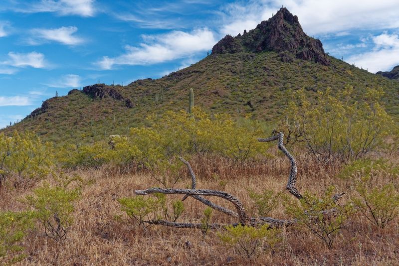 Picacho Peak State Park