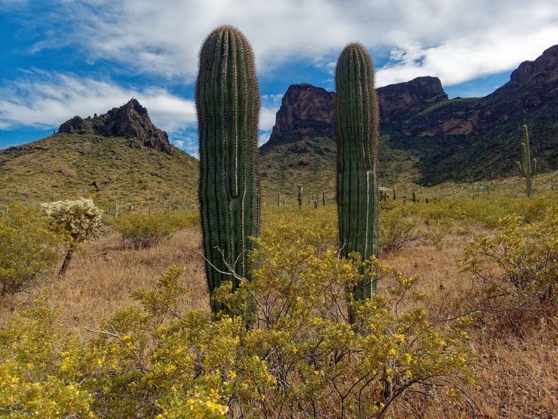 Picacho Peak State Park