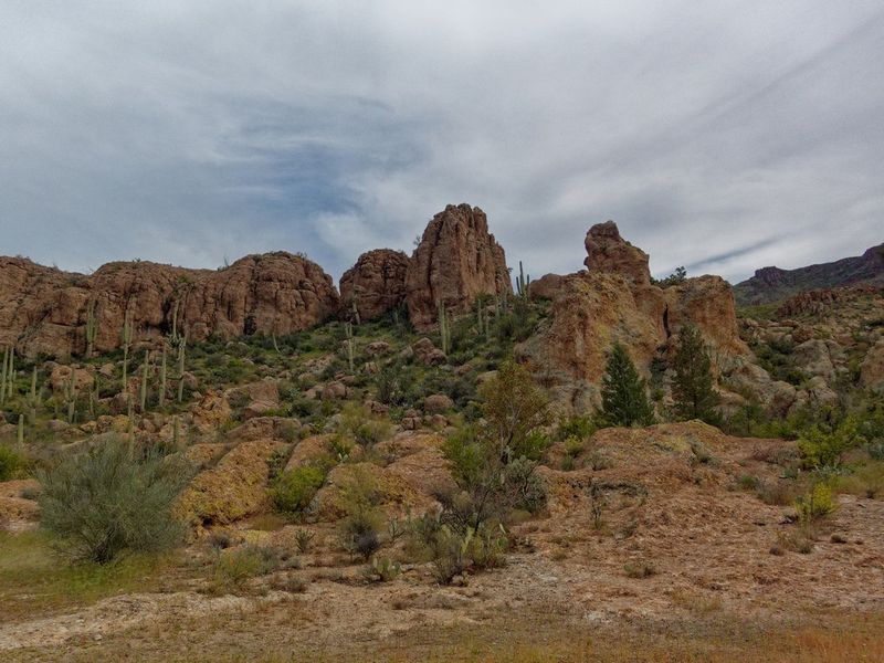 Boyce Thompson Arboretum