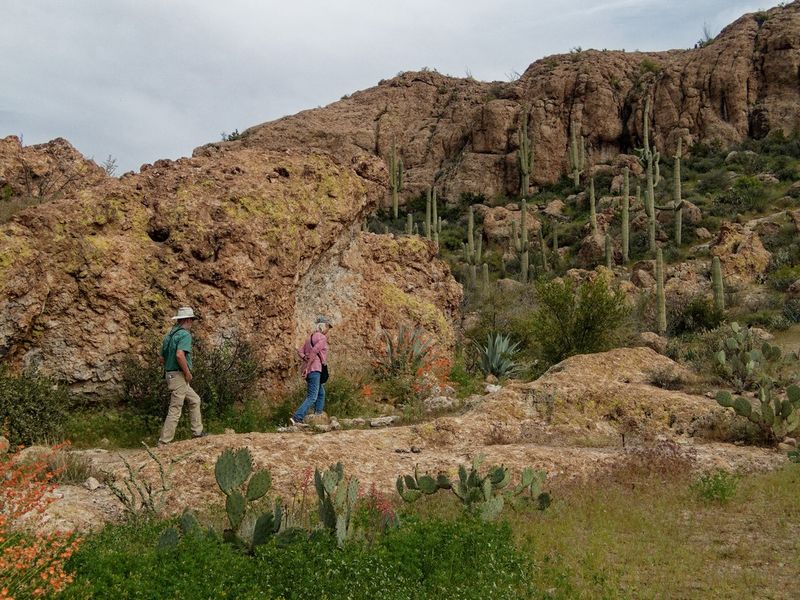 Boyce Thompson Arboretum