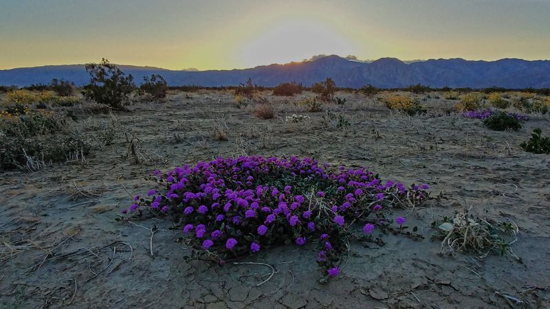 0205231700a_HDR_DxO.jpg