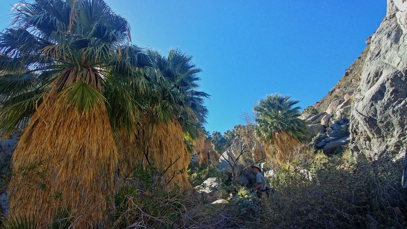0207231308_HDR_DxO.jpg