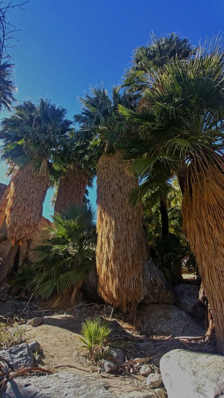 0207231314_HDR_DxO.jpg