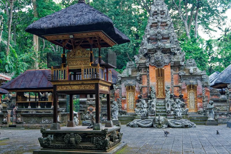 Sacred monkey forest 14