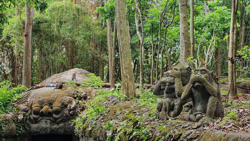 Sacred monkey forest 4