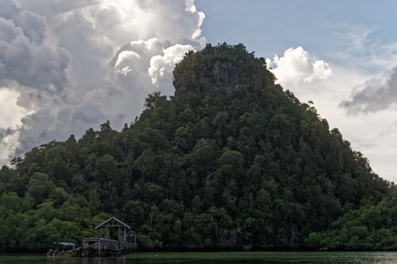 We'll hike up that!