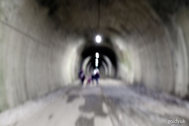 XT5F6765.jpg