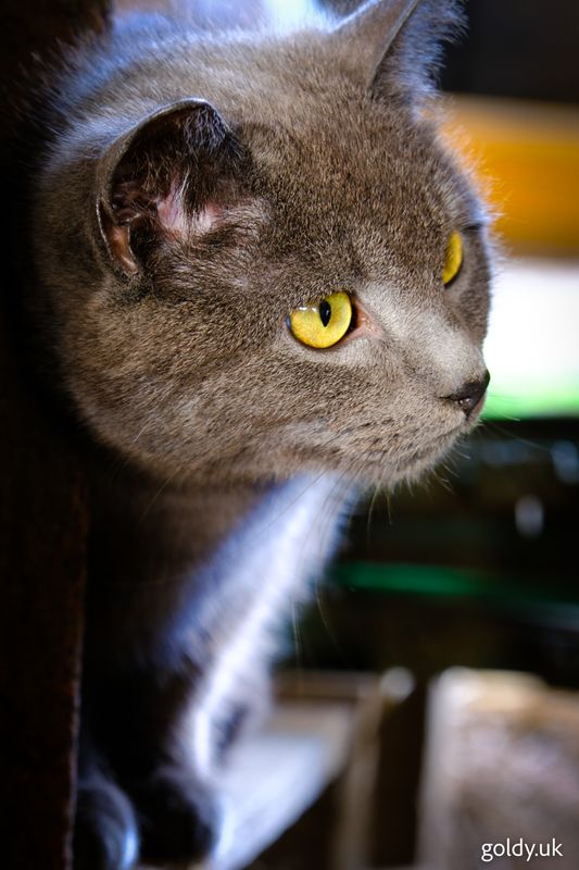 XT5F6856.jpg