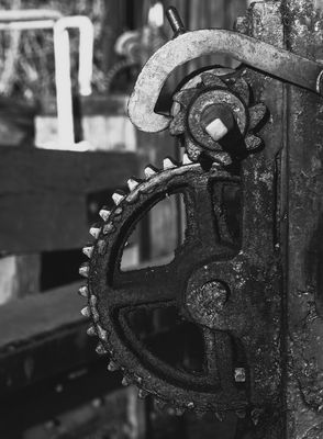 g13/59/511659/3/173282907.9b28834a.JPEG