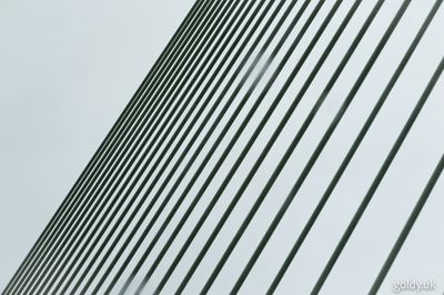 g13/59/511659/3/173299692.7572bc9b.JPEG
