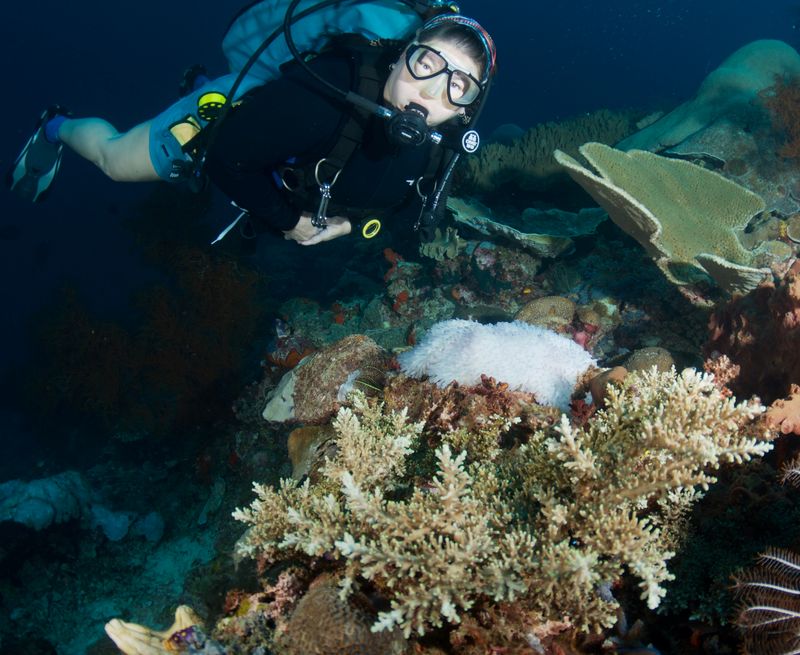 Jules and Anemone