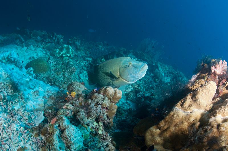 DSC_8375.jpg