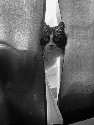 Who, me?