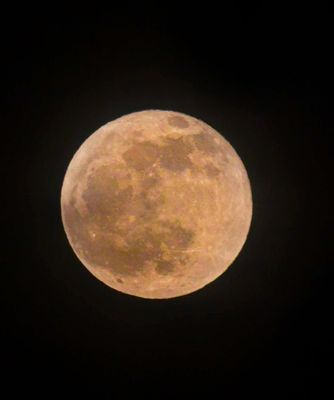 Flower Moon