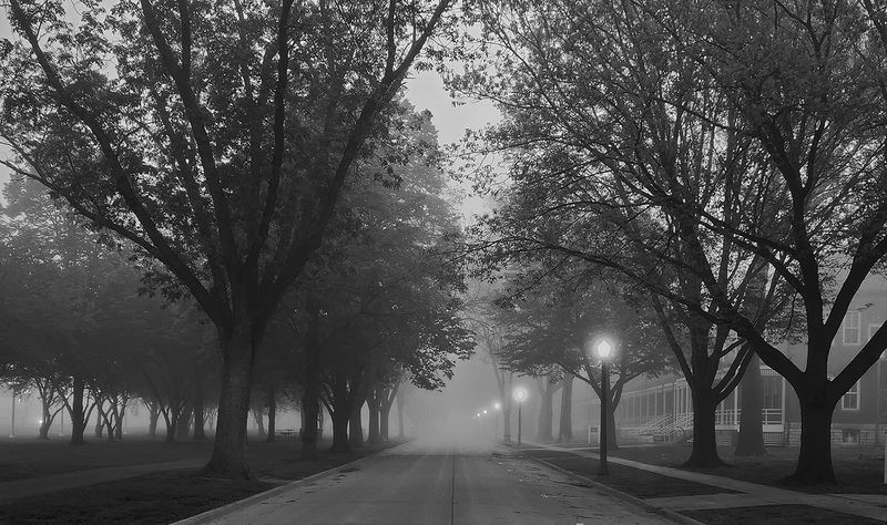 Morning Fog